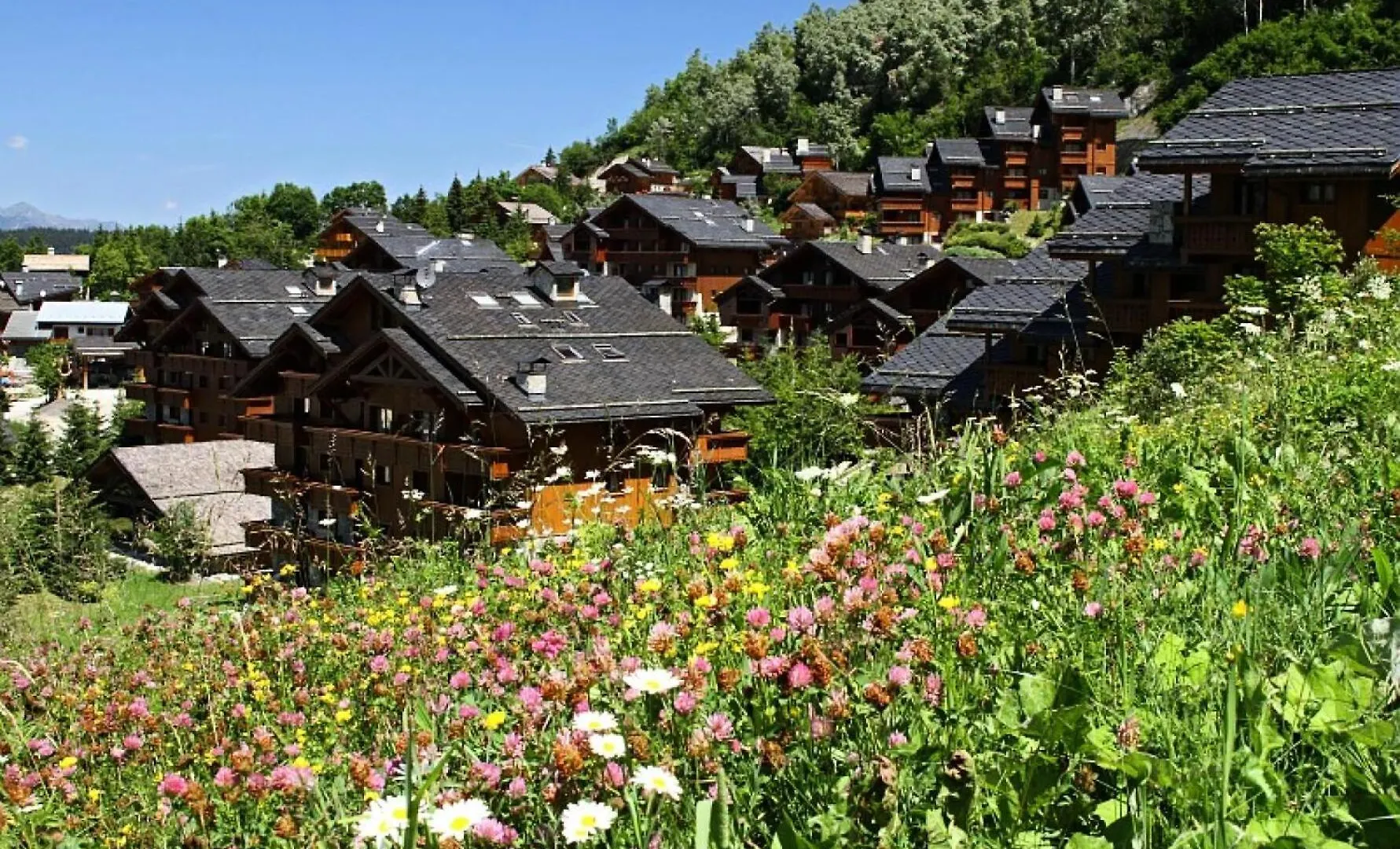 Residence Les Fermes De Meribel - Maeva Home - Appartement 5 Pieces 10 Personnes Prestige Mae-1374 Les Allues Apartment
